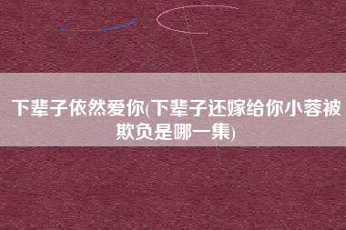 下辈子依然爱你(下辈子还嫁给你小蓉被欺负是哪一集)