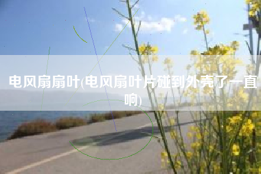 电风扇扇叶(电风扇叶片碰到外壳了一直响)