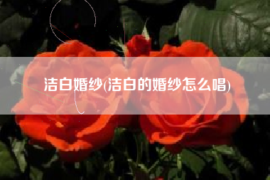 洁白婚纱(洁白的婚纱怎么唱)