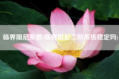 临界阻尼系数(临界阻尼二阶系统稳定吗)