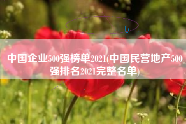 中国企业500强榜单2021(中国民营地产500强排名2021完整名单)