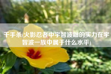 千手杀(火影忍者中宇智波鼬的实力在宇智波一族中属于什么水平)