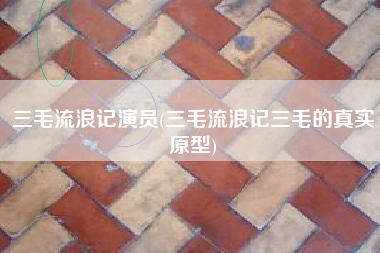 三毛流浪记演员(三毛流浪记三毛的真实原型)