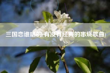 三国恋谁唱的(有没有经典的串烧歌曲)