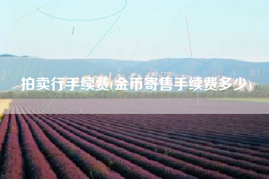 拍卖行手续费(金币寄售手续费多少)