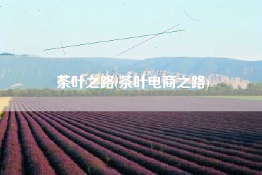 茶叶之路(茶叶电商之路)