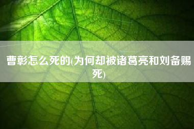 曹彰怎么死的(为何却被诸葛亮和刘备赐死)
