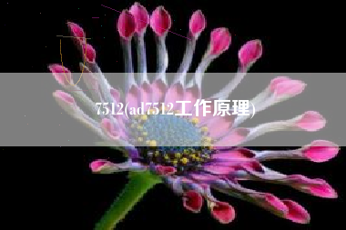 7512(ad7512工作原理)
