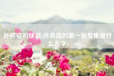 孙燕姿的快歌(孙燕姿的第一张专集是什么名字)