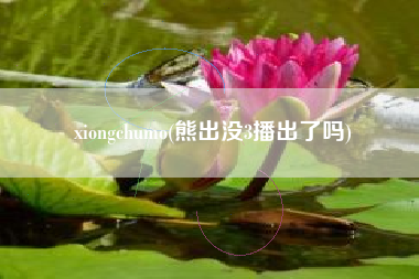 xiongchumo(熊出没3播出了吗)