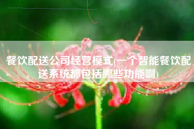 餐饮配送公司经营模式(一个智能餐饮配送系统都包括哪些功能啊)
