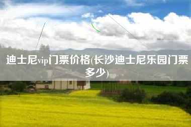 迪士尼vip门票价格(长沙迪士尼乐园门票多少)