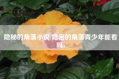 隐秘的角落小说(隐密的角落青少年能看吗)