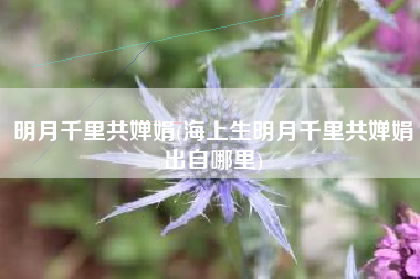 明月千里共婵娟(海上生明月千里共婵娟出自哪里)