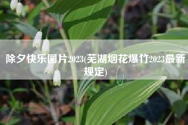除夕快乐图片2023(芜湖烟花爆竹2023最新规定)