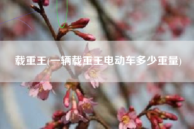 载重王(一辆载重王电动车多少重量)