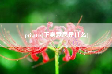 privates(下身意思是什么)