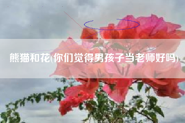 熊猫和花(你们觉得男孩子当老师好吗)