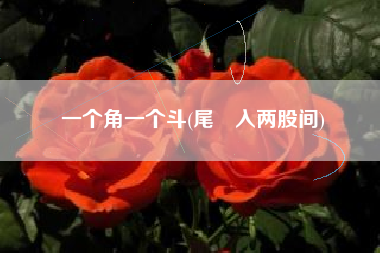 一个角一个斗(尾槒入两股间)
