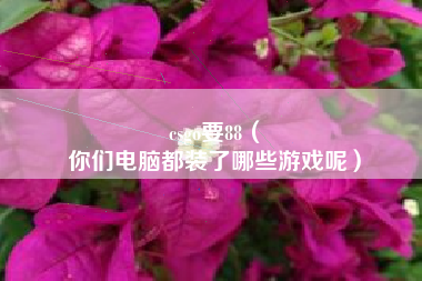 csgo要88（
你们电脑都装了哪些游戏呢）