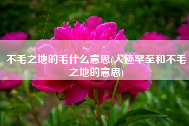 不毛之地的毛什么意思(人迹罕至和不毛之地的意思)