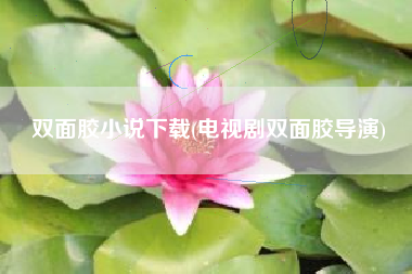 双面胶小说下载(电视剧双面胶导演)