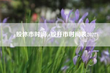 a股休市时间(a股开市时间表2022)