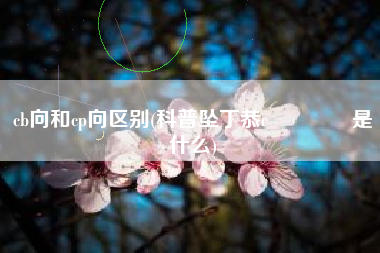 cb向和cp向区别(科普坠丁恭c?是什么)