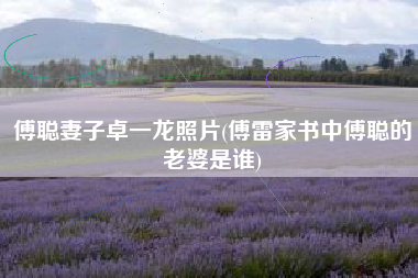 傅聪妻子卓一龙照片(傅雷家书中傅聪的老婆是谁)