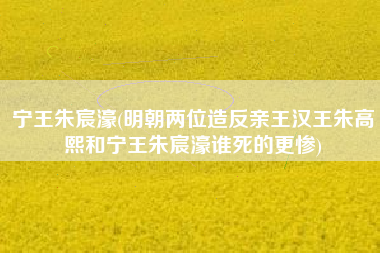 宁王朱宸濠(明朝两位造反亲王汉王朱高熙和宁王朱宸濠谁死的更惨)