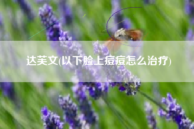 达芙文(以下脸上痘痘怎么治疗)
