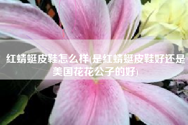 红蜻蜓皮鞋怎么样(是红蜻蜓皮鞋好还是美国花花公子的好)