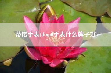 蒂诺手表(dinu0手表什么牌子好)