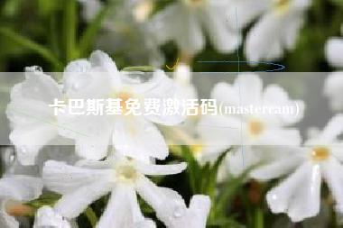 卡巴斯基免费激活码(mastercam)