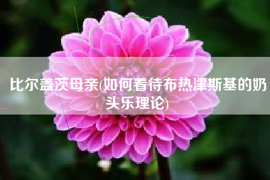 比尔盖茨母亲(如何看待布热津斯基的奶头乐理论)