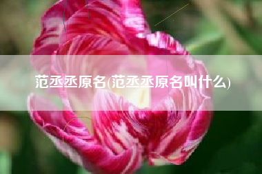 范丞丞原名(范丞丞原名叫什么)