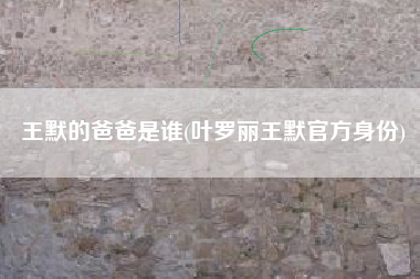 王默的爸爸是谁(叶罗丽王默官方身份)