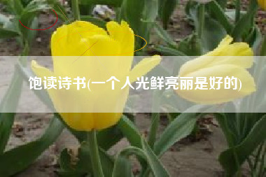 饱读诗书(一个人光鲜亮丽是好的)