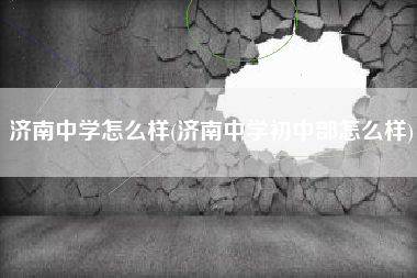济南中学怎么样(济南中学初中部怎么样)
