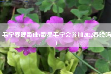 毛宁春晚歌曲(歌星毛宁会参加2022春晚吗)