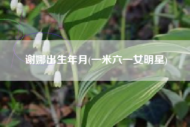 谢娜出生年月(一米六一女明星)