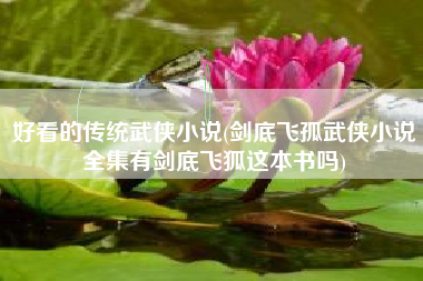 好看的传统武侠小说(剑底飞孤武侠小说全集有剑底飞狐这本书吗)