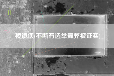 棱镜侠(不断有选举舞弊被证实)