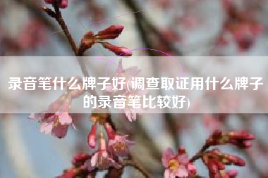 录音笔什么牌子好(调查取证用什么牌子的录音笔比较好)