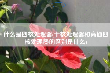 什么是四核处理器(十核处理器和高通四核处理器的区别是什么)
