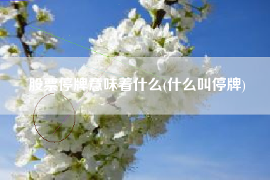 股票停牌意味着什么(什么叫停牌)