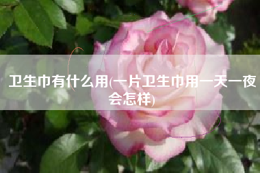 卫生巾有什么用(一片卫生巾用一天一夜会怎样)