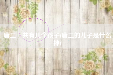 唐三一共有几个孩子(唐三的儿子是什么神)