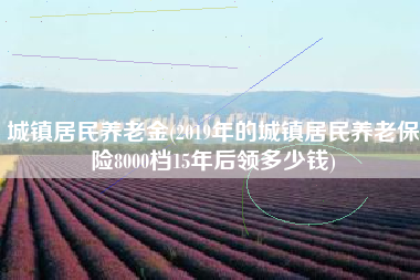 城镇居民养老金(2019年的城镇居民养老保险8000档15年后领多少钱)