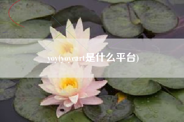 yoy(yoycart是什么平台)